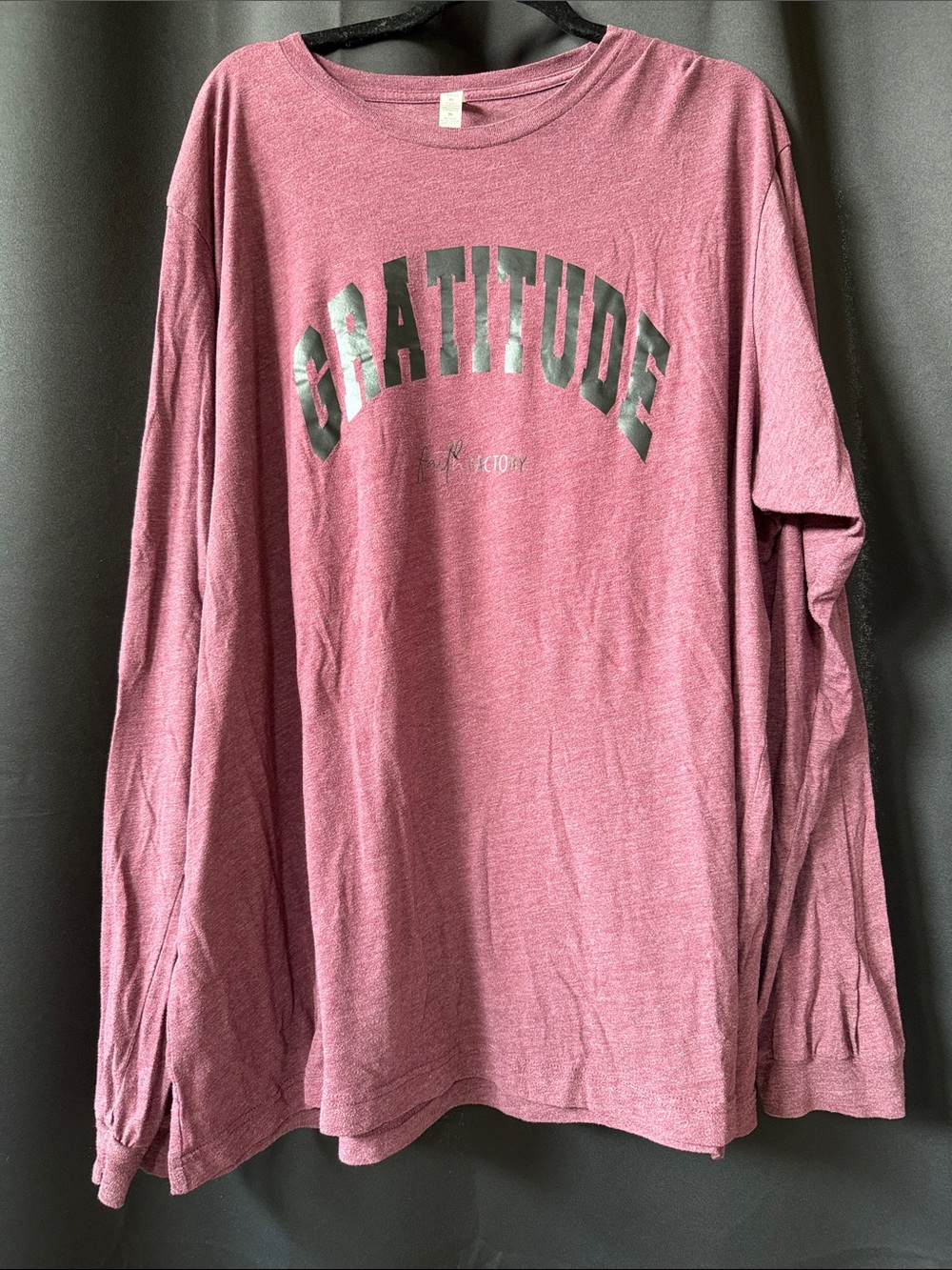 Gratitude Long-Sleeve Graphic Tee — Dusty Rose